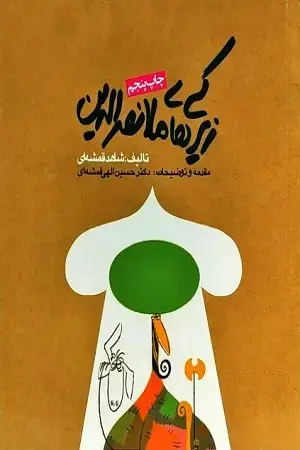 جلد کتاب زیرکی های ملانصرالدین