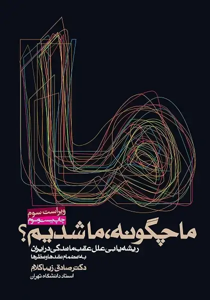 جلد کتاب ما چگونه ما شدیم (شومیز)