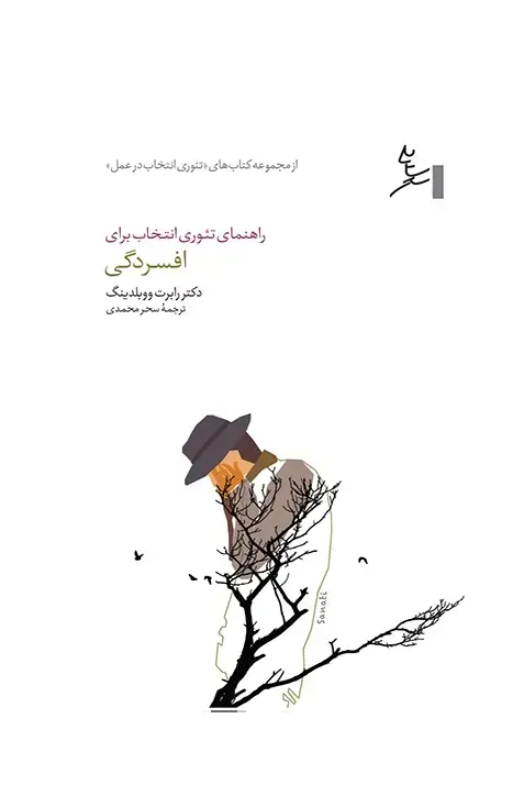 جلد کتاب راهنمای تئوری انتخاب برای افسردگی