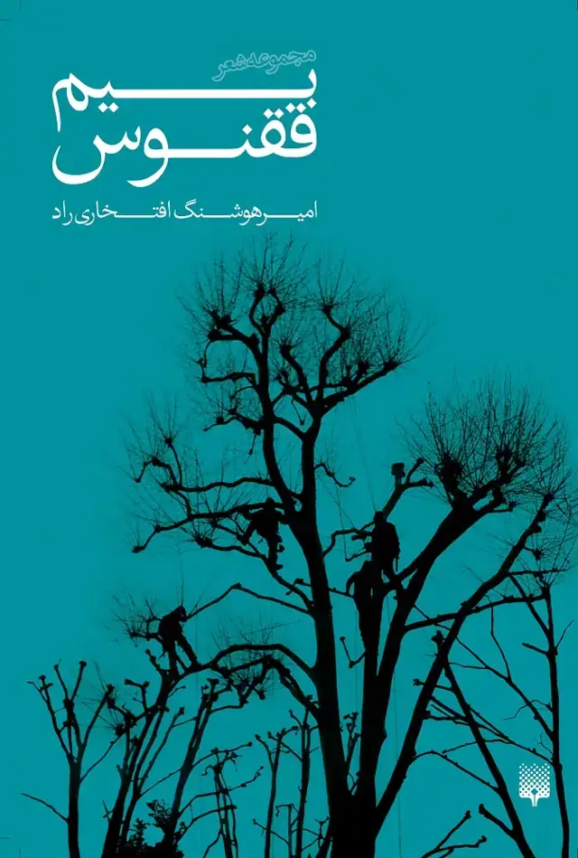 جلد کتاب بیم ققنوس