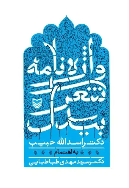 جلد کتاب واژه نامه شعر بیدل