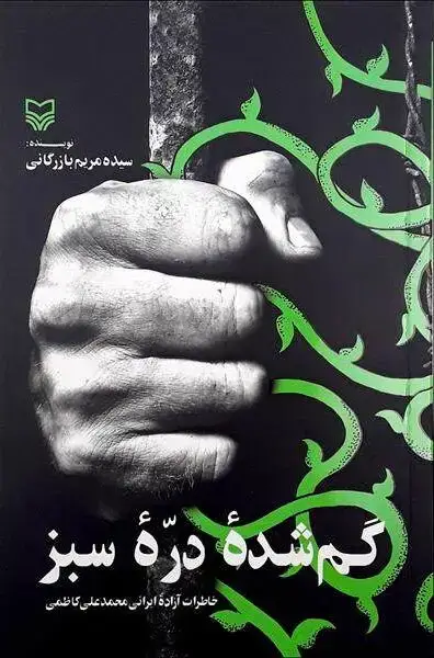 جلد کتاب گم شده دره سبز