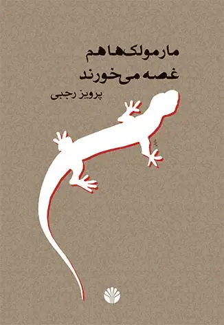 جلد کتاب مارمولکها هم غصه میخورند
