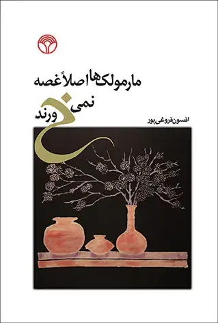 جلد کتاب مارمولک‌ها اصلا غصه نمی‌خورند