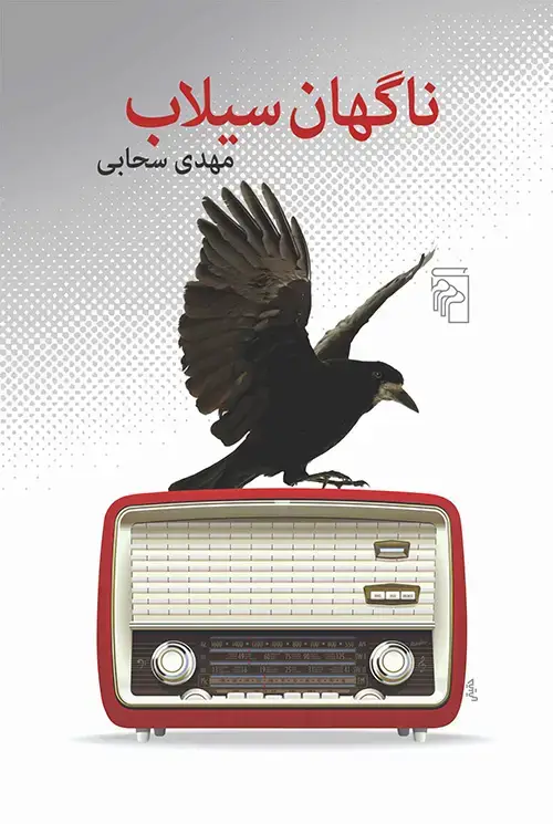 جلد کتاب ناگهان سیلاب