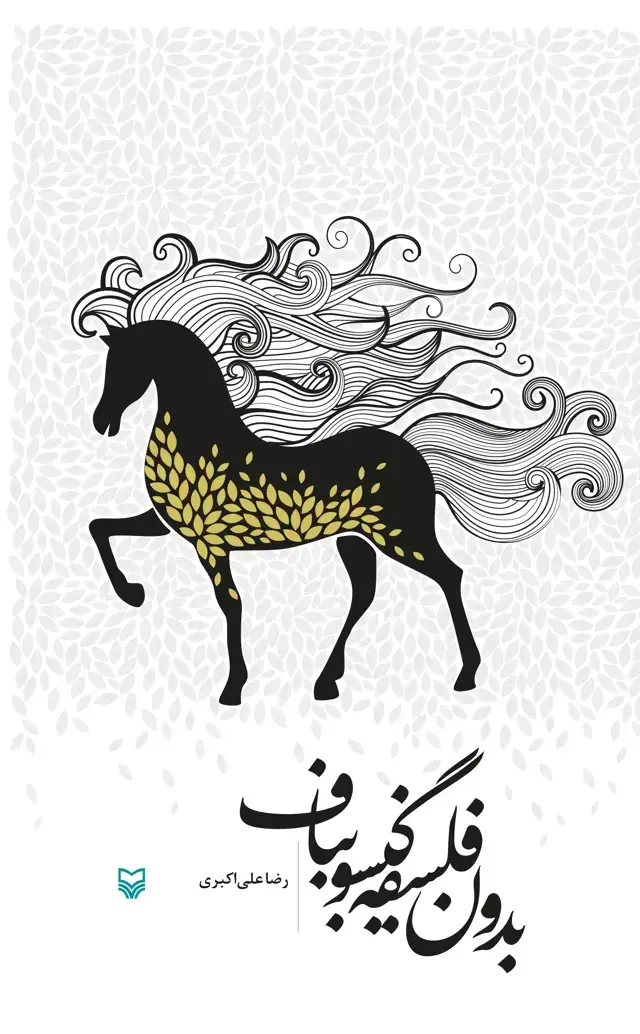 جلد کتاب بدون فلسفه گیسو بباف