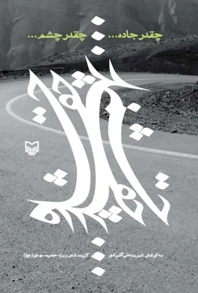 جلد کتاب چقدر جاده… چقدر چشم…