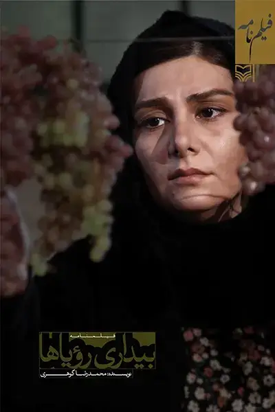 جلد کتاب بیداری رویاها