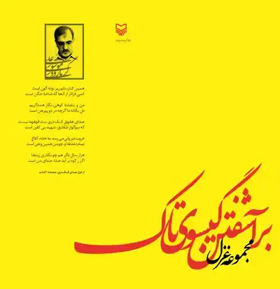 جلد کتاب براشفتن گیسوی تاک