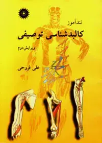 جلد کتاب تنداموز کالبدشناسی توصیفی (ویرایش دوم)