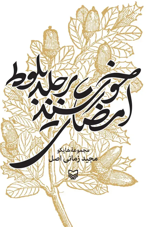 جلد کتاب امضای خورشید بر جلد بلوط