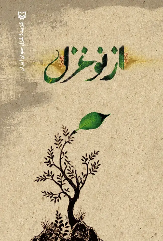 جلد کتاب از نو غزل