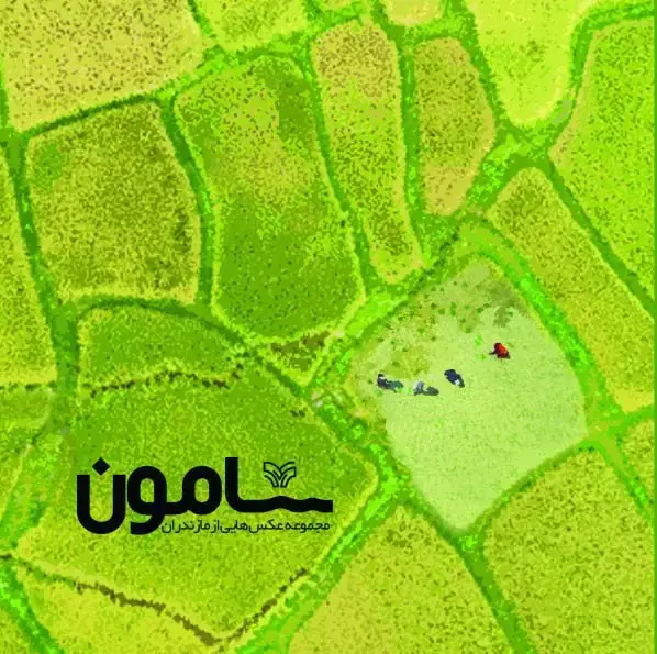 جلد کتاب سامون
