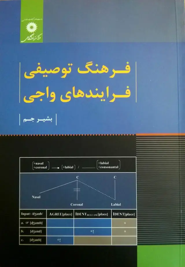 جلد کتاب فرهنگ توصیفی فرایندهای واجی
