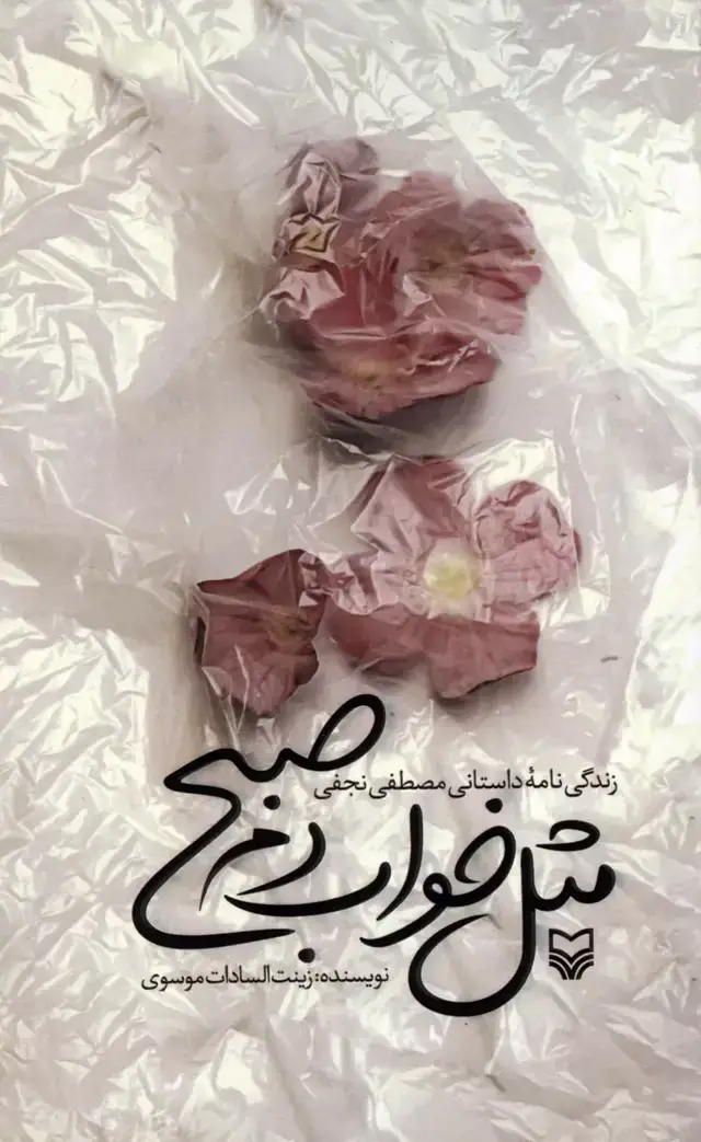 جلد کتاب مثل خواب دم صبح