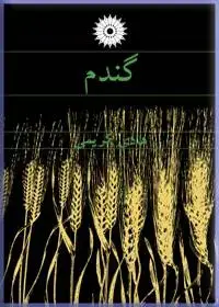 جلد کتاب گندم