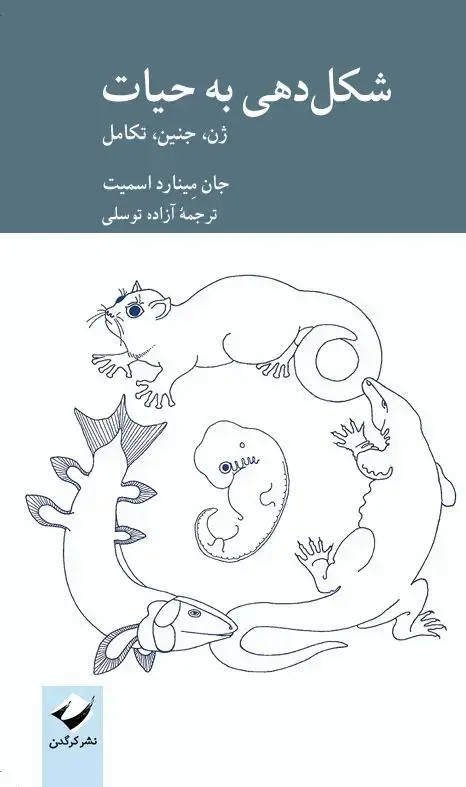 جلد کتاب شکل دهی به حیات
