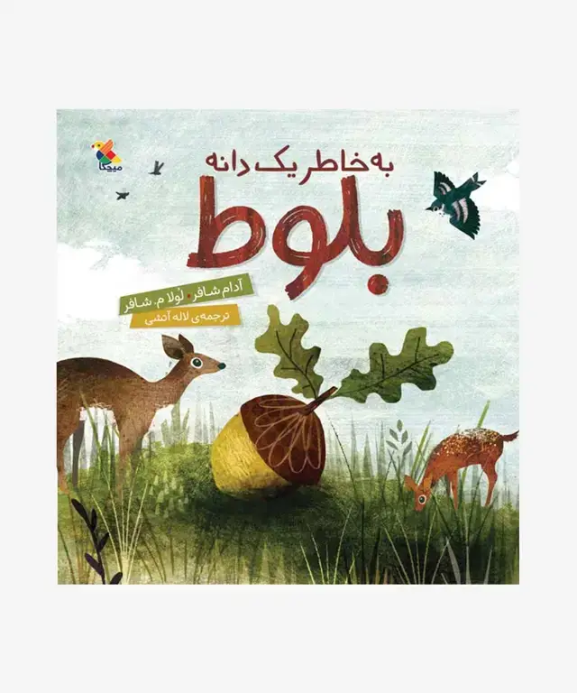 جلد کتاب کتاب به خاطر یک دانه بلوط