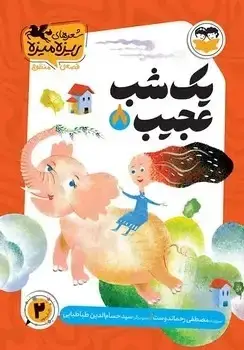 جلد کتاب یک شب عجیب