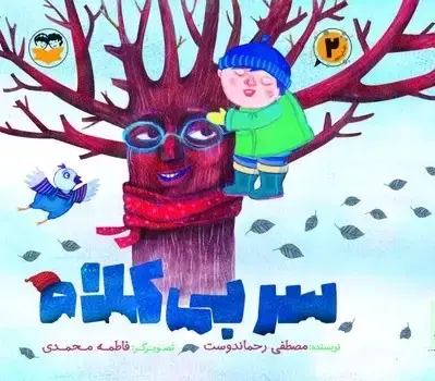 جلد کتاب سر بی کلاه