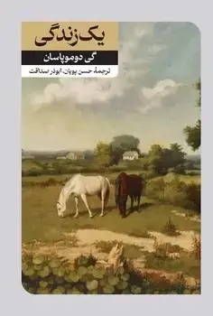 جلد کتاب یک زندگی - امیرکبیر