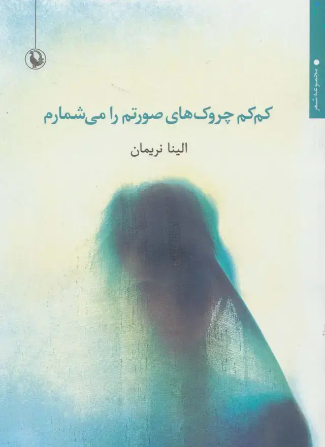 جلد کتاب کم کم چروک های صورتم را می شمارم (مجموعه شعر)