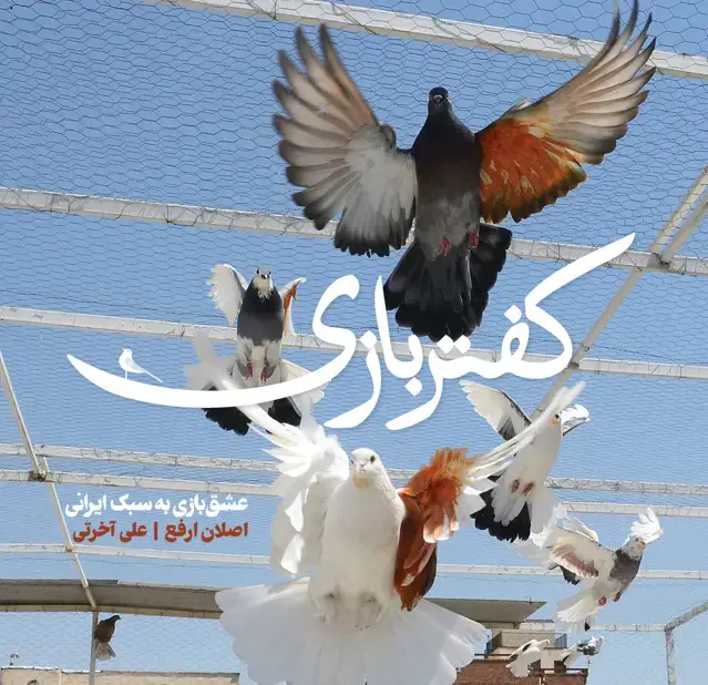 جلد کتاب کفتربازی، عشق بازی به سبک ایرانی