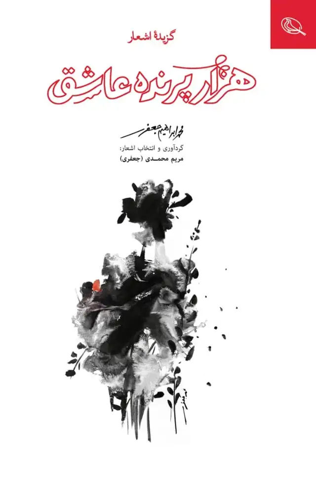 جلد کتاب هزار پرنده عاشق