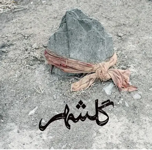 جلد کتاب گلشهر