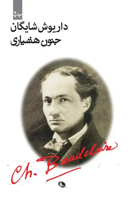 جلد کتاب جنون هشیاری