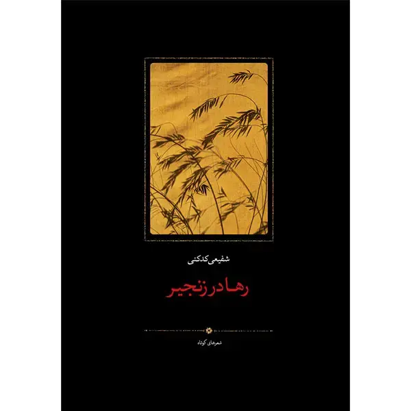 جلد کتاب رها در زنجیر