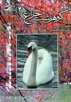 جلد کتاب گوهر شب چراغ 2