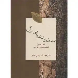 جلد کتاب درخت زنده بی برگ
