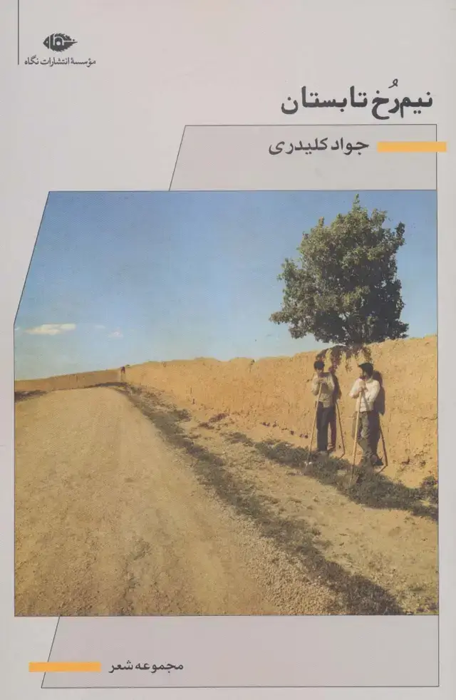 جلد کتاب نیم رخ تابستان (مجموعه شعر)