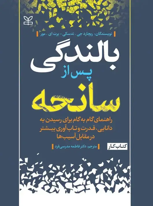 جلد کتاب بالندگی پس از سانحه