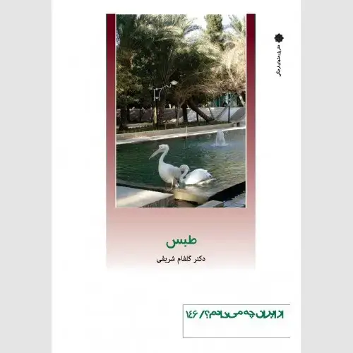 جلد کتاب طبس