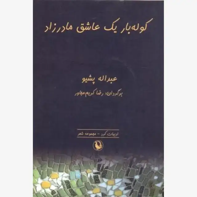 جلد کتاب کوله بار یک عاشق مادرزاد