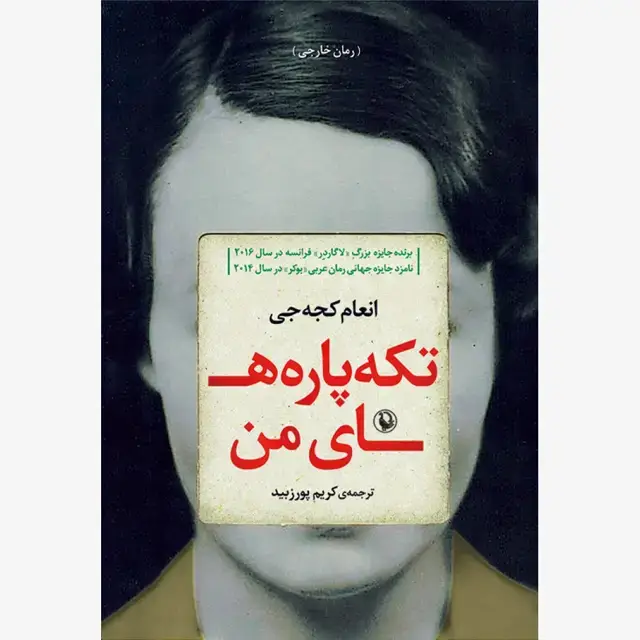جلد کتاب تکه پاره های من