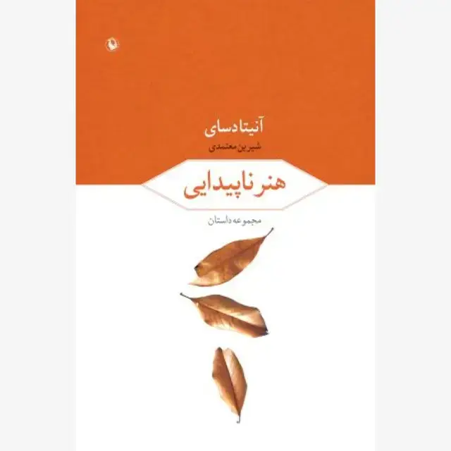 جلد کتاب هنر ناپیدایی
