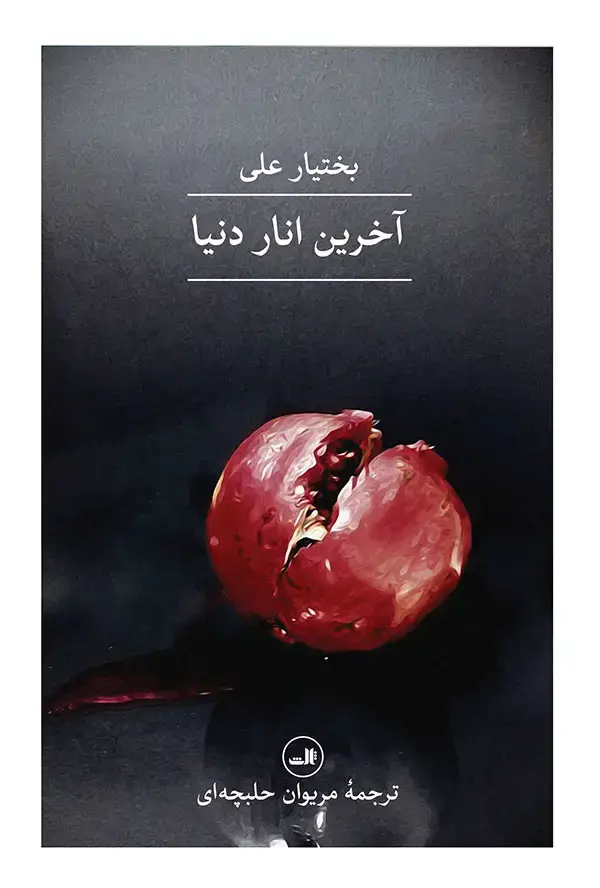 جلد کتاب آخرین انار دنیا
