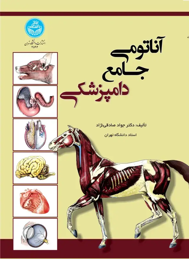 جلد کتاب آناتومی جامع دامپزشکی