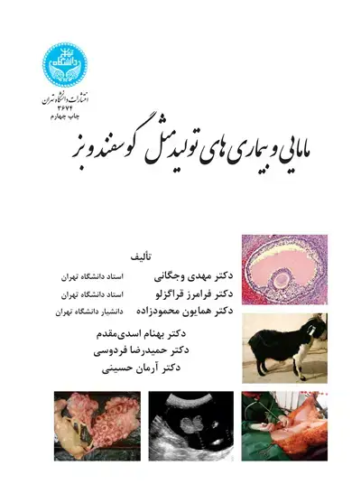 جلد کتاب مامایی و بیماریهای تولیدمثل گوسفند و بز