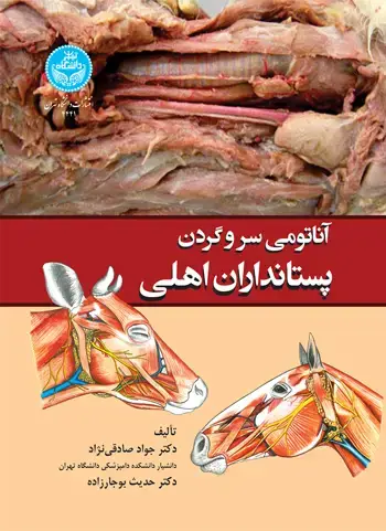 جلد کتاب آناتومی سر و گردن پستانداران اهلی