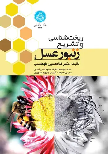جلد کتاب ریختشناسی و تشریح زنبور عسل