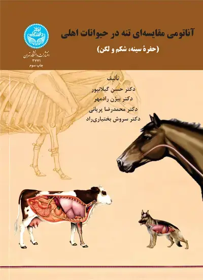 جلد کتاب آناتومی مقایسهای تنه در حیوانات اهلی (حفره سینه، شکم و لگن)
