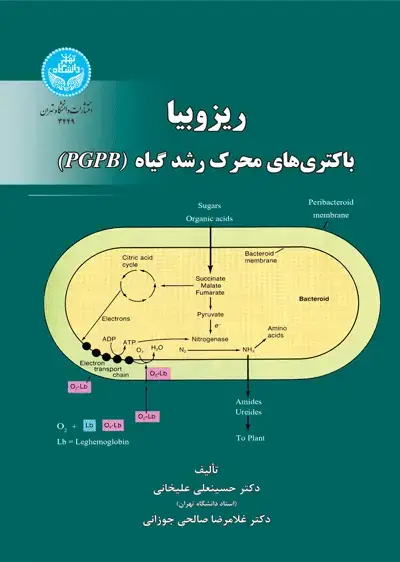جلد کتاب ریزوبیا، باکتریهای محرک رشد گیاه