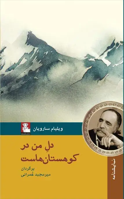 جلد کتاب دل من در کوهستان هاست