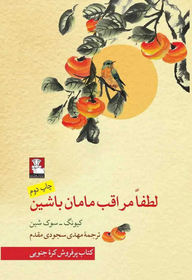 جلد کتاب لطفاً مراقب مامان باشین