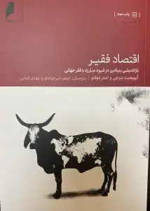 اقتصاد فقیر