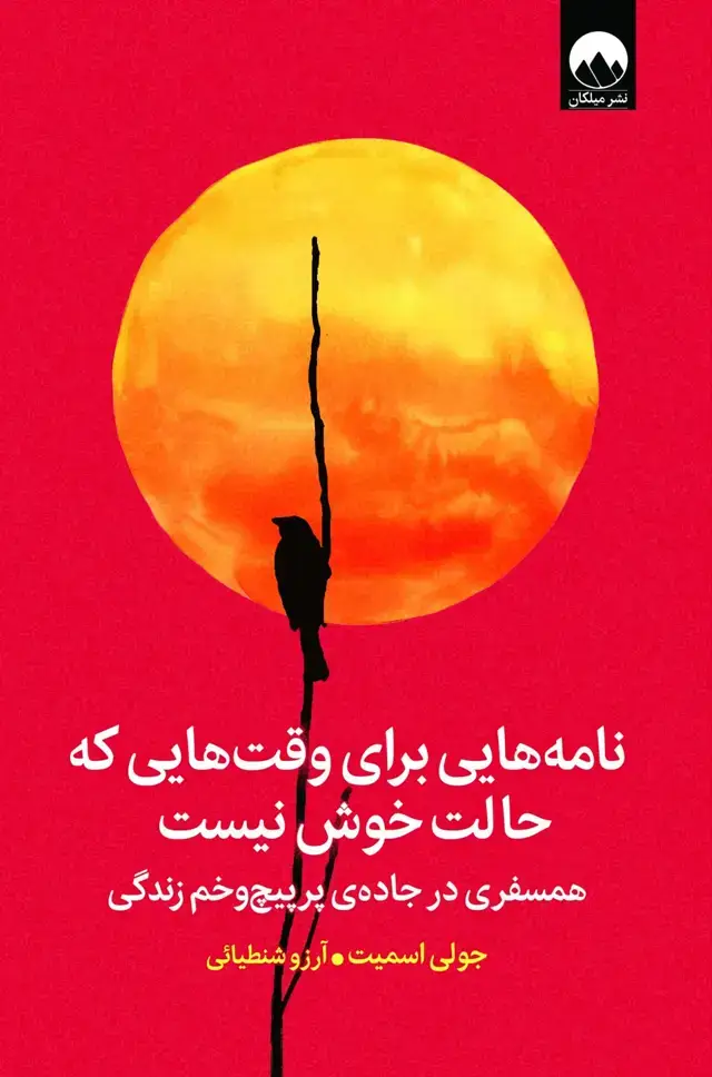 جلد کتاب نامه هایی برای وقت هایی که حالت خوش نیست
